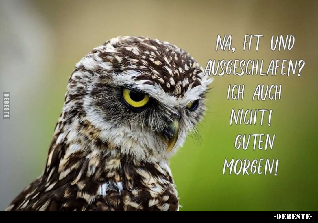 Na, fit und ausgeschlafen? Ich auch nicht!
Guten Morgen!