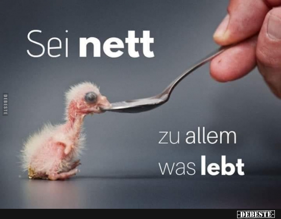 Sei nett zu allem was lebt.. - Lustige Bilder | DEBESTE.de