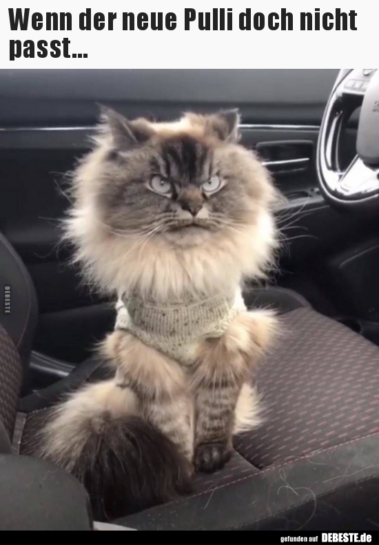 Wenn der neue Pulli doch nicht passt...