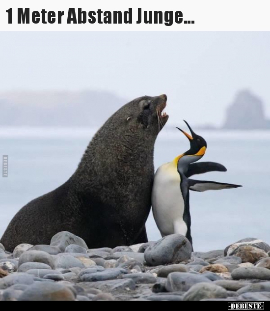 1 Meter Abstand Junge...