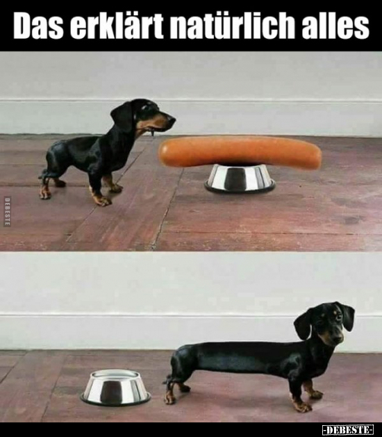 Das erklärt natürlich alles..