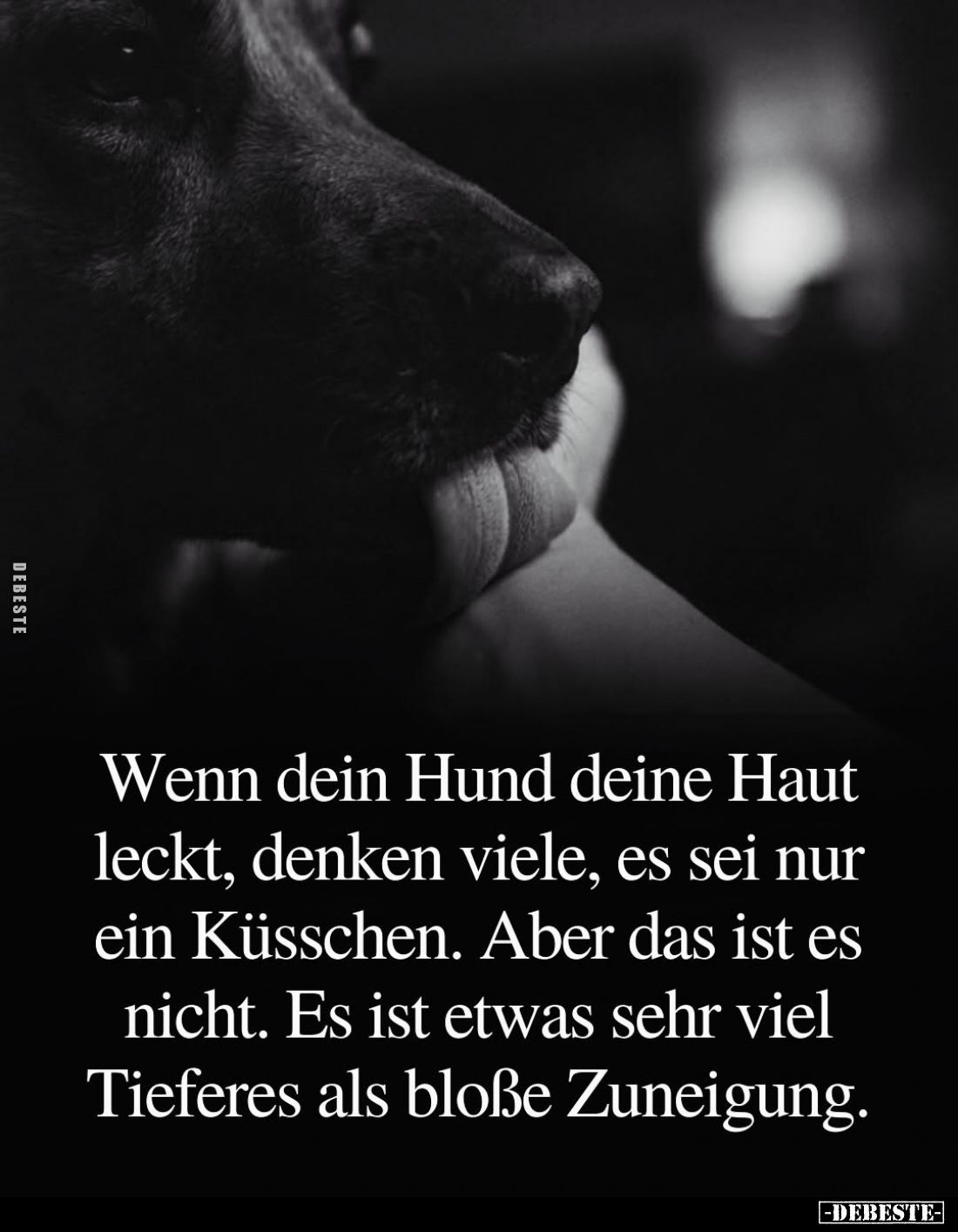 Wenn dein Hund deine Haut leckt, denken viele, es sei nur ein Küsschen. Aber das ist es nicht. Es ist etwas sehr viel Tiefere...
