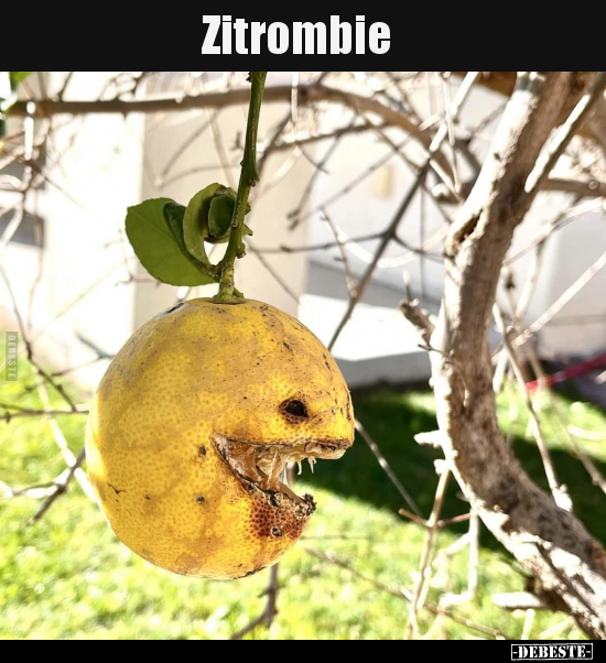 Zitrombie.. - Lustige Bilder | DEBESTE.de