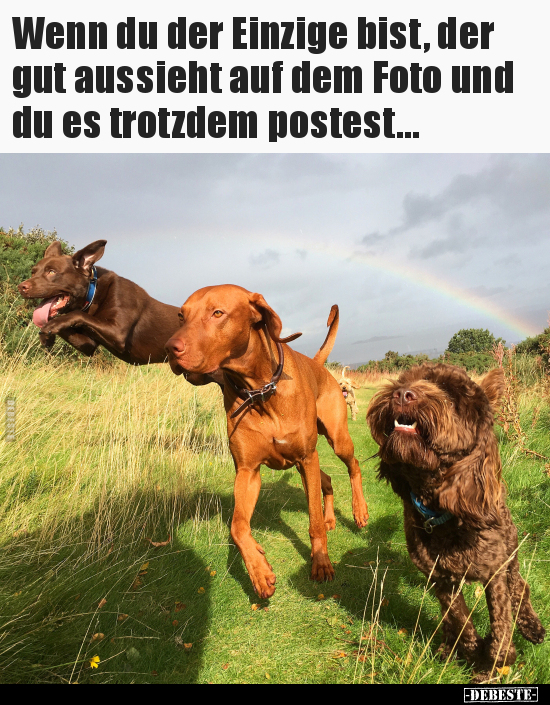 Wenn du der Einzige bist, der gut aussieht auf dem Foto und..