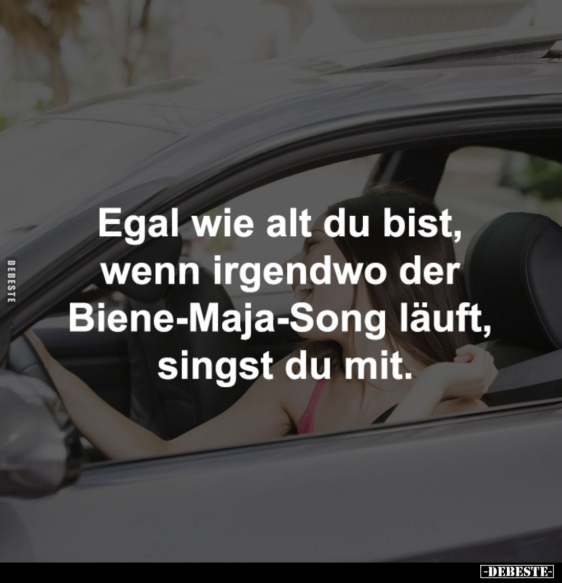 Egal wie alt du bist, 
wenn irgendwo der 
Biene-Maja-Song läuft, 
singst du mit.
