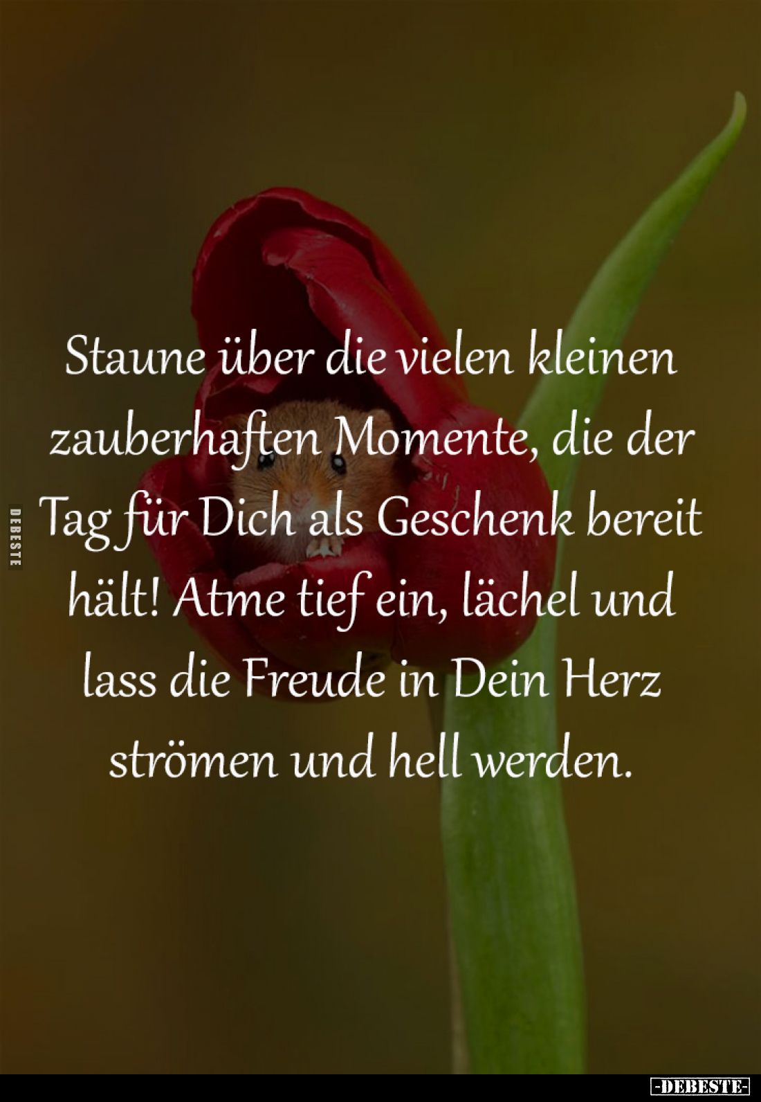 Staune über die vielen kleinen 
zauberhaften Momente, die der 
Tag für Dich als Geschenk bereit 
hält! Atme tief ein, läch...