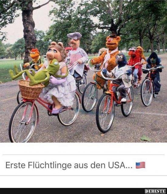 Erste Flüchtlinge aus den USA.. - Lustige Bilder | DEBESTE.de