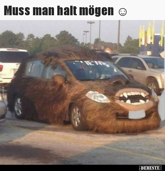 Muss man halt mögen.