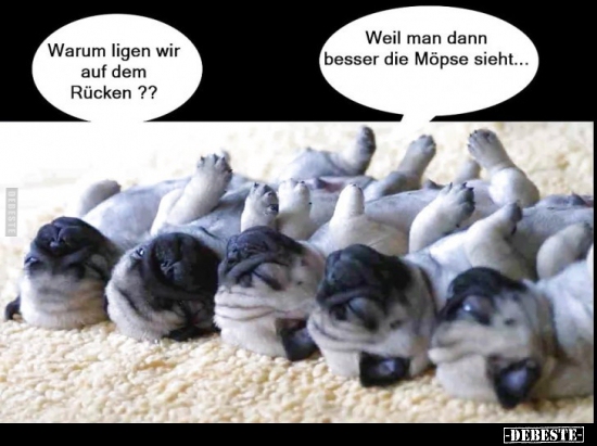 Warum liegen wir auf dem Rücken?
