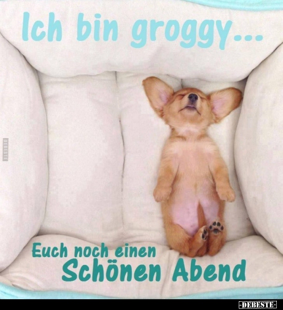 Ich bin groggy... - Lustige Bilder | DEBESTE.de