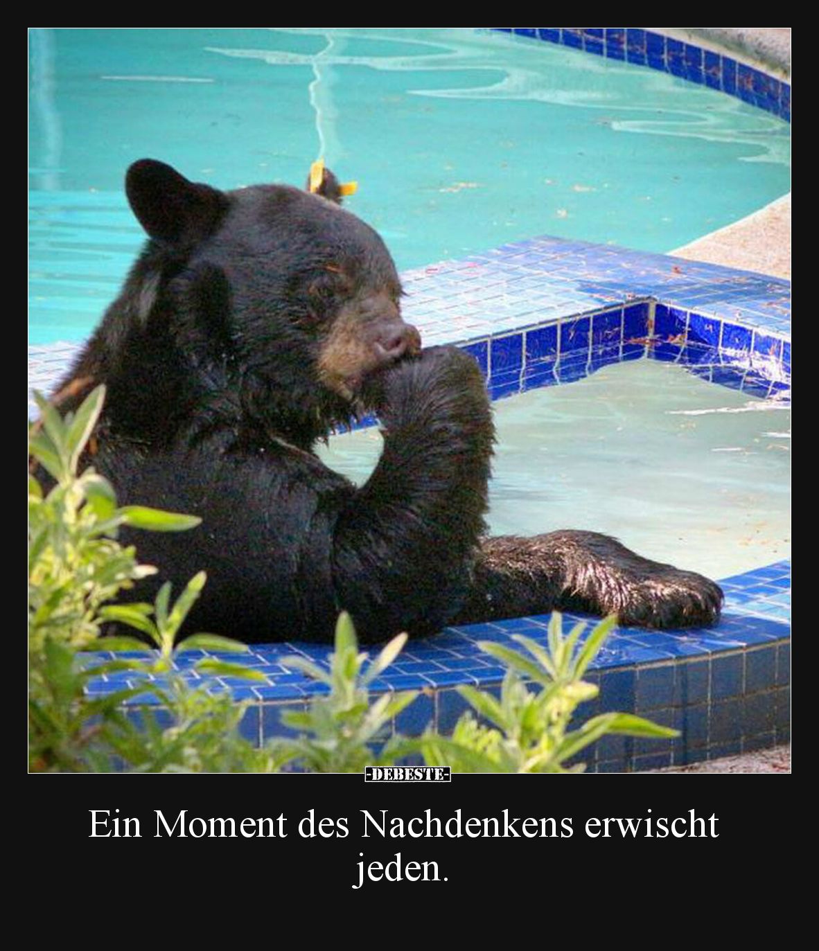 Ein Moment des Nachdenkens erwischt jeden.