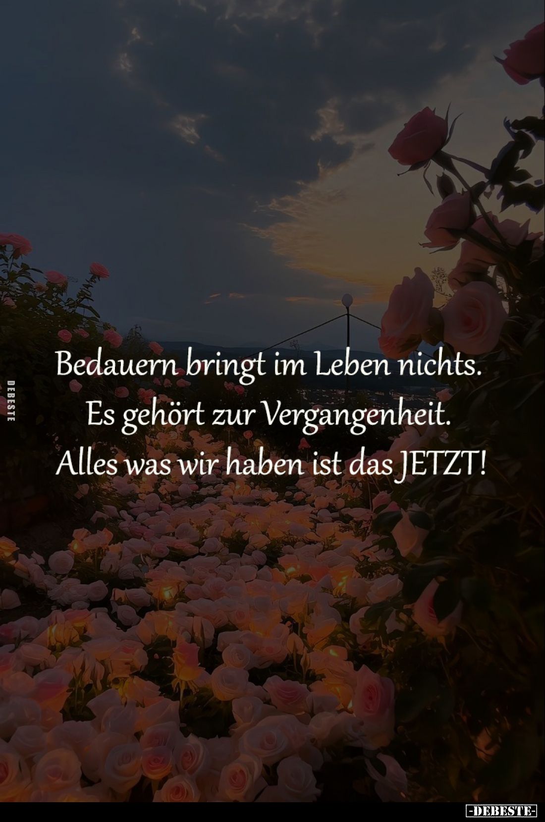 Bedauern bringt im Leben nichts. 
Es gehört zur Vergangenheit. 
Alles was wir haben ist das JETZT!