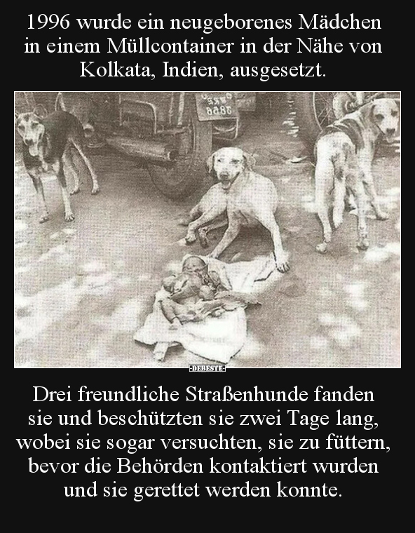1996 wurde ein neugeborenes Mädchen in einem Müllcontainer.. - Lustige Bilder | DEBESTE.de