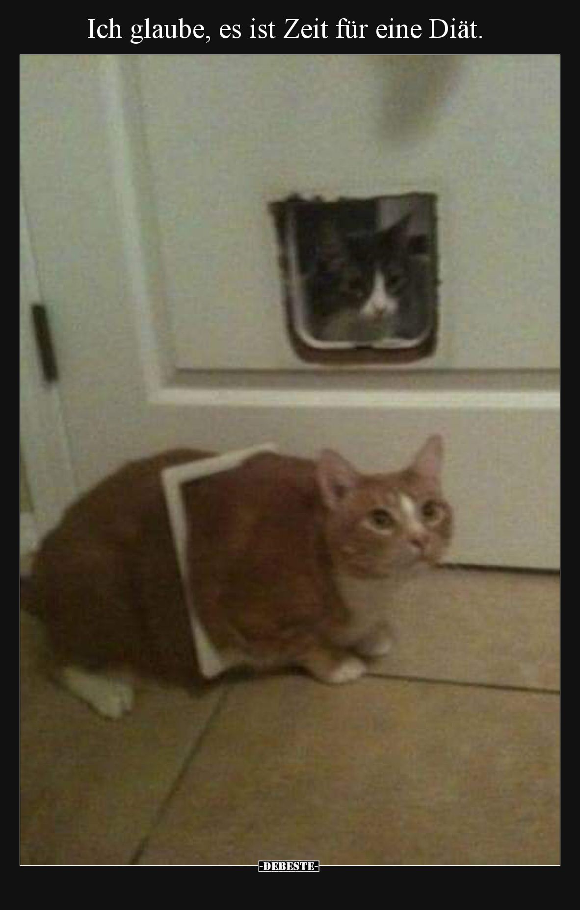 Ich glaube, es ist Zeit für eine Diät.