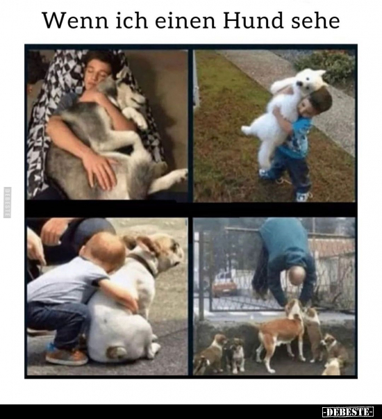 Wenn ich einen Hund sehe.. - Lustige Bilder | DEBESTE.de