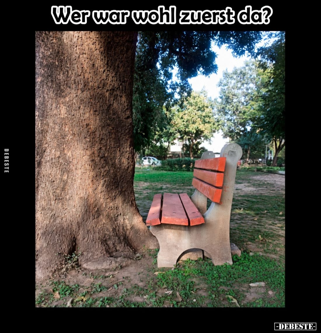 Wer war wohl zuerst da? - Lustige Bilder | DEBESTE.de