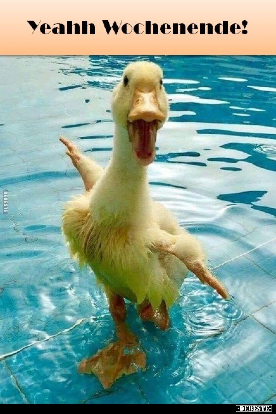 Yeahh Wochenende!.. - Lustige Bilder | DEBESTE.de