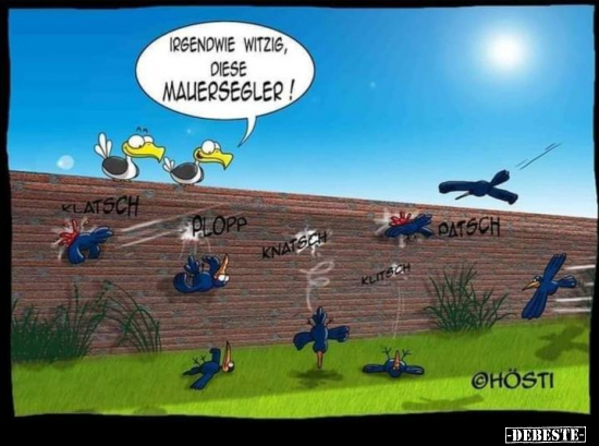 Irgendwie witzig, diese Mauersegler!.. - Lustige Bilder | DEBESTE.de