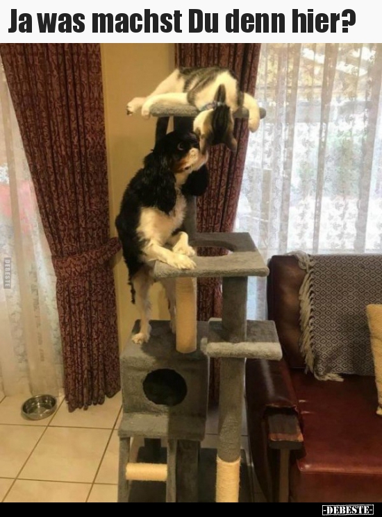 Ja was machst Du denn hier?..