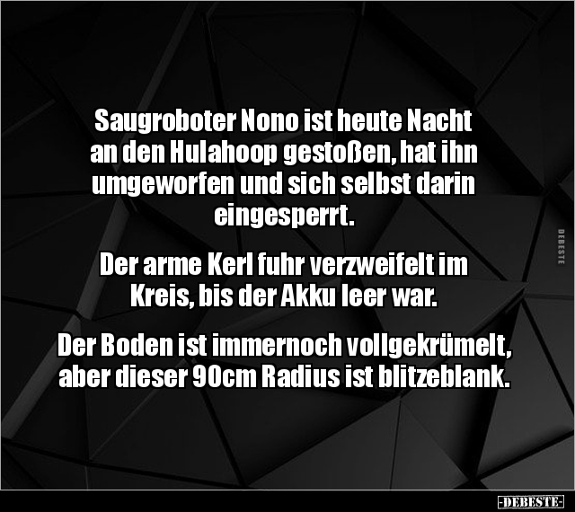 Saugroboter Nono ist heute Nacht an den Hulahoop gestoßen.. - Lustige Bilder | DEBESTE.de