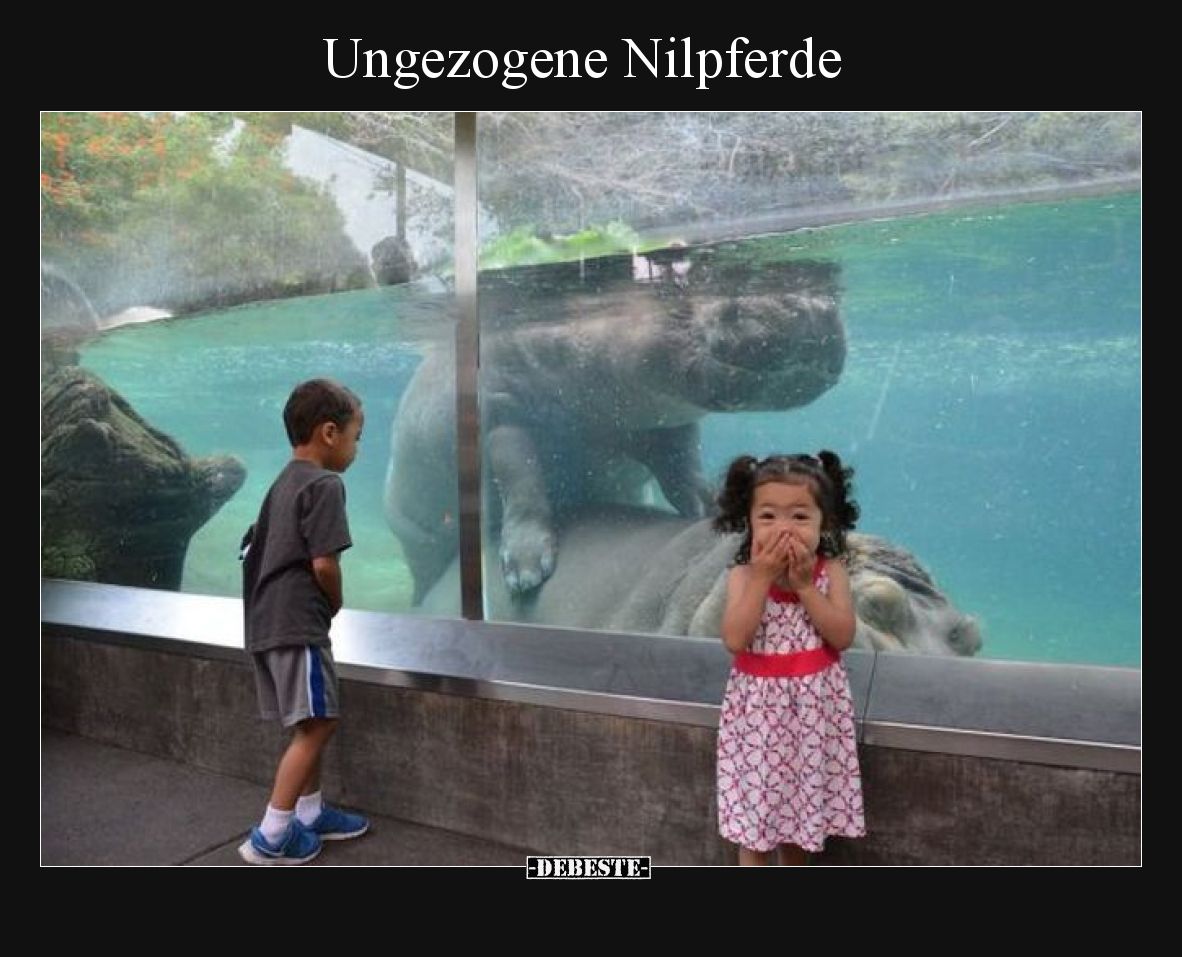 Ungezogene Nilpferde