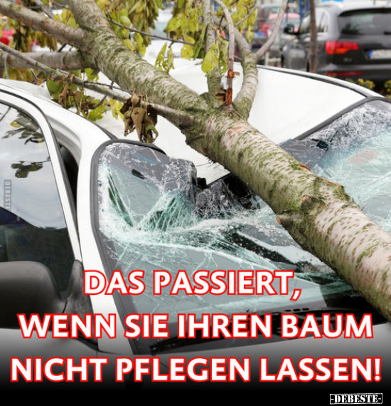 Das passiert, wenn sie ihren Baum nicht pflegen lassen!.. - Lustige Bilder | DEBESTE.de