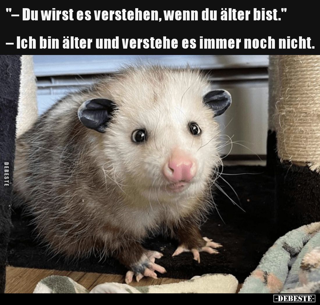 – Du wirst es verstehen, wenn du älter bist.
– Ich bin älter und verstehe es immer noch nicht.