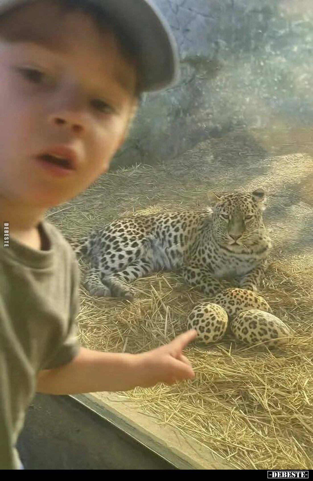  - Lustige Bilder | DEBESTE.de