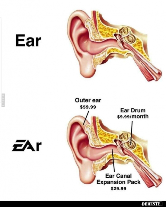 Ear - EAr