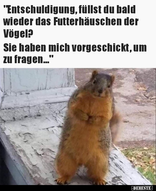 "Entschuldigung, füllst du bald wieder das Futterhäuschen.." - Lustige Bilder | DEBESTE.de