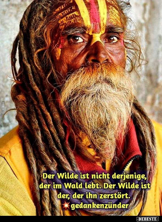 Der Wilde ist nicht derjenige, der im Wald lebt..