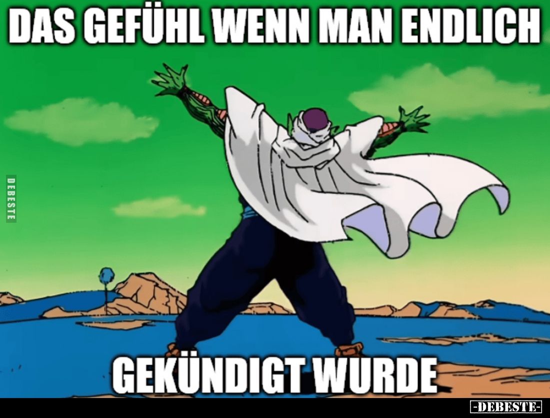 Das Gefühl wenn man endlich gekündigt wurde... - Lustige Bilder | DEBESTE.de