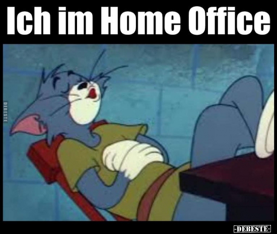 Ich im Home Office.. - Lustige Bilder | DEBESTE.de