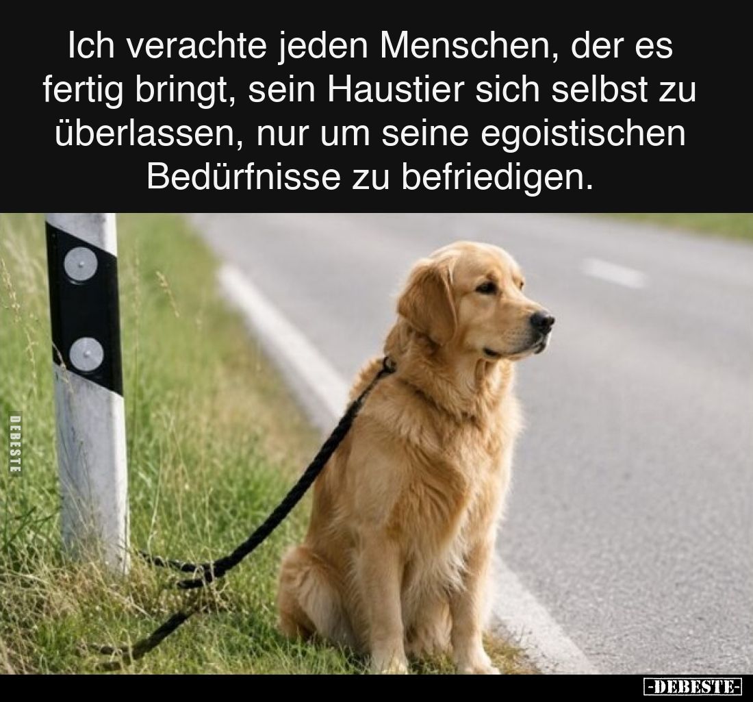 Ich verachte jeden Menschen, der es fertig bringt, sein.. - Lustige Bilder | DEBESTE.de