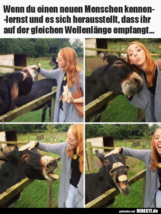 Wenn du einen neuen Menschen kennenlernst und es sich..