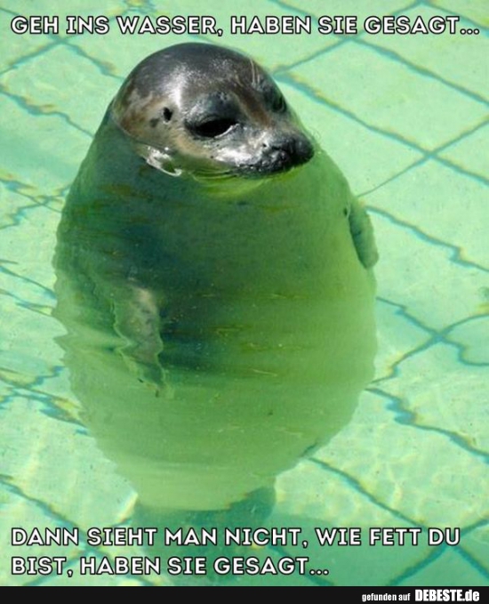 Geh ins Wasser, haben sie gesagt..