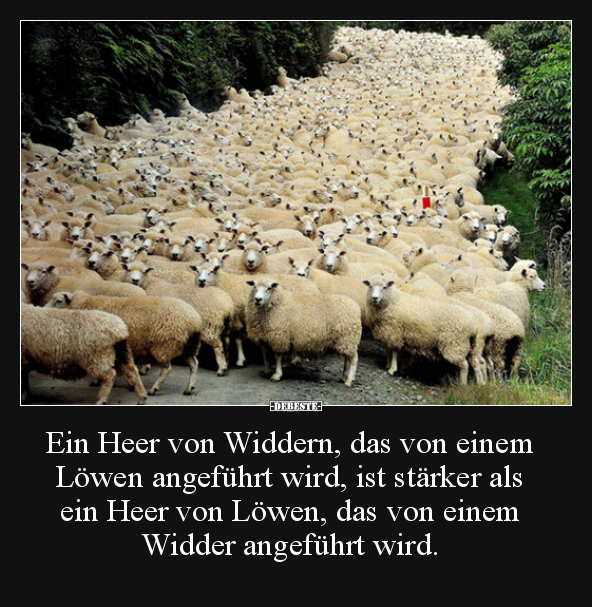 Ein Heer von Widdern, das von einem Löwen angeführt wird.. - Lustige Bilder | DEBESTE.de