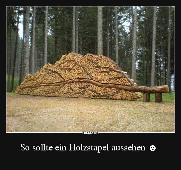 So sollte ein Holzstapel aussehen.. - Lustige Bilder | DEBESTE.de