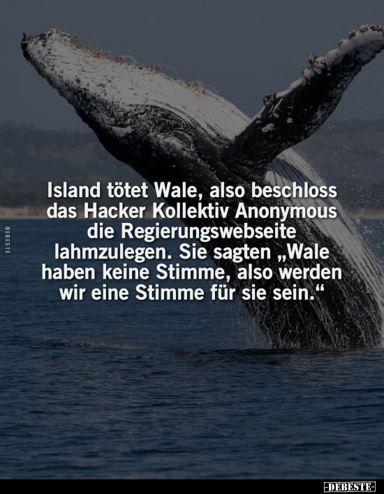 Island tötet Wale, also beschloss das Hacker.. - Lustige Bilder | DEBESTE.de