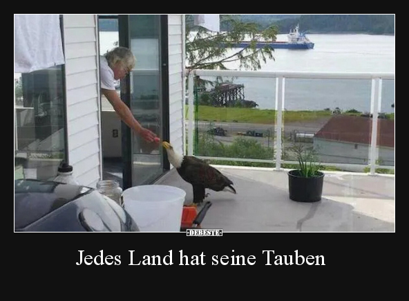 Jedes Land hat seine Tauben.. - Lustige Bilder | DEBESTE.de