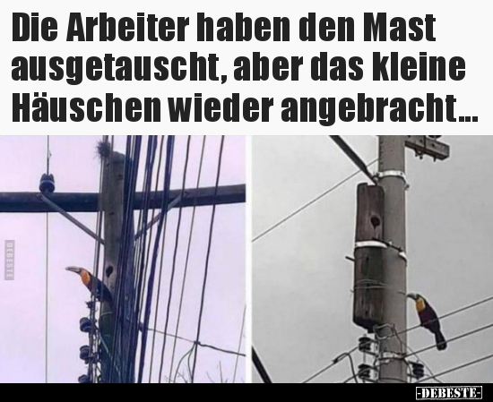 Die Arbeiter haben den Mast ausgetauscht, aber das kleine..