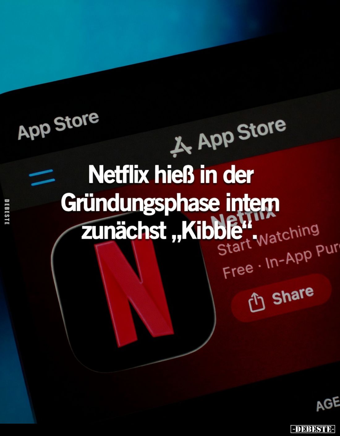 Netflix hieß in der Gründungsphase intern zunächst „Kibble“.