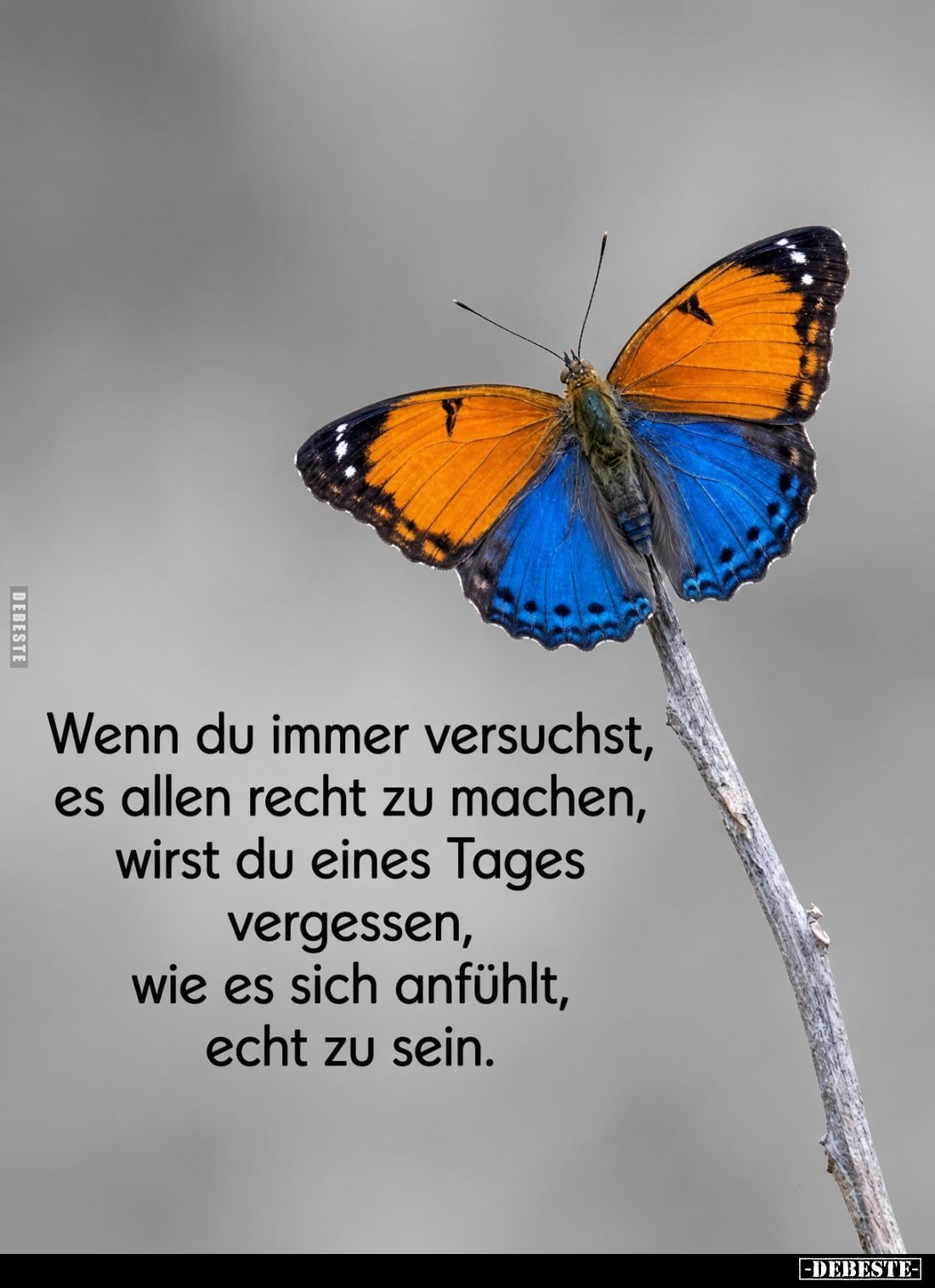 Wenn du immer versuchst, es allen recht zu machen, wirst du eines Tages vergessen, wie es sich anfühlt, echt zu sein.