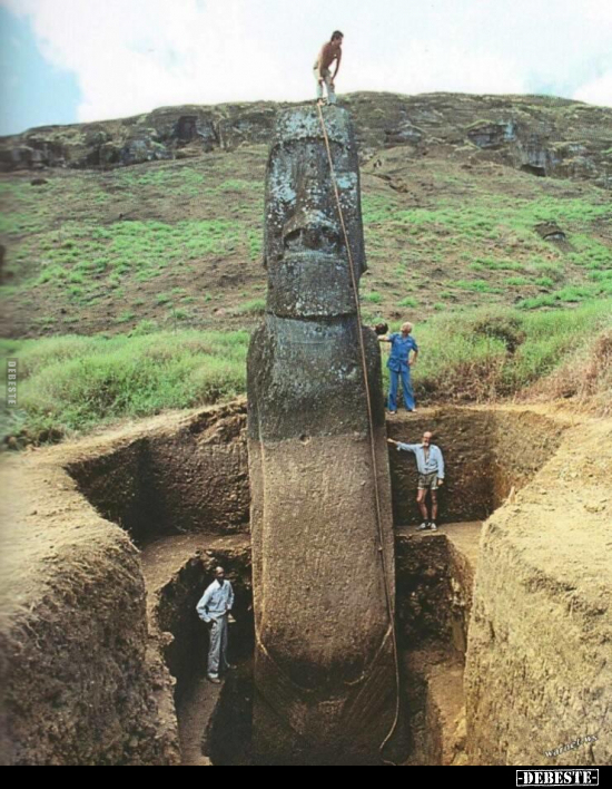  - Lustige Bilder | DEBESTE.de