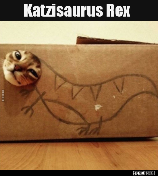 Katzisaurus Rex.. - Lustige Bilder | DEBESTE.de
