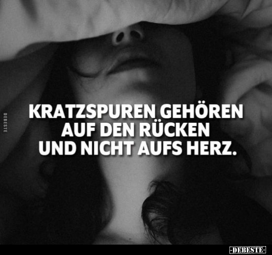 Kratzspuren gehören auf den Rücken und nicht aufs Herz!..