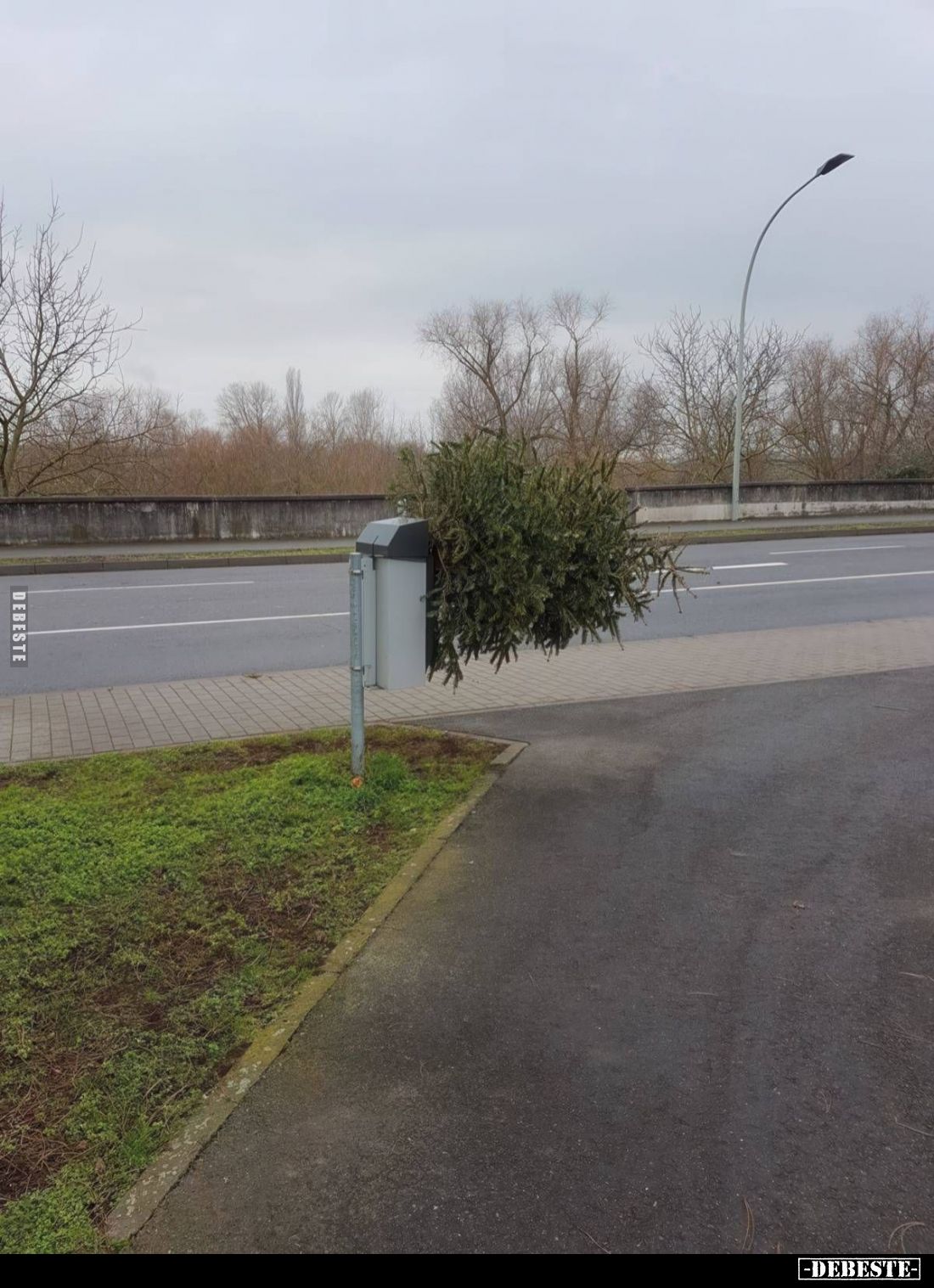  - Lustige Bilder | DEBESTE.de