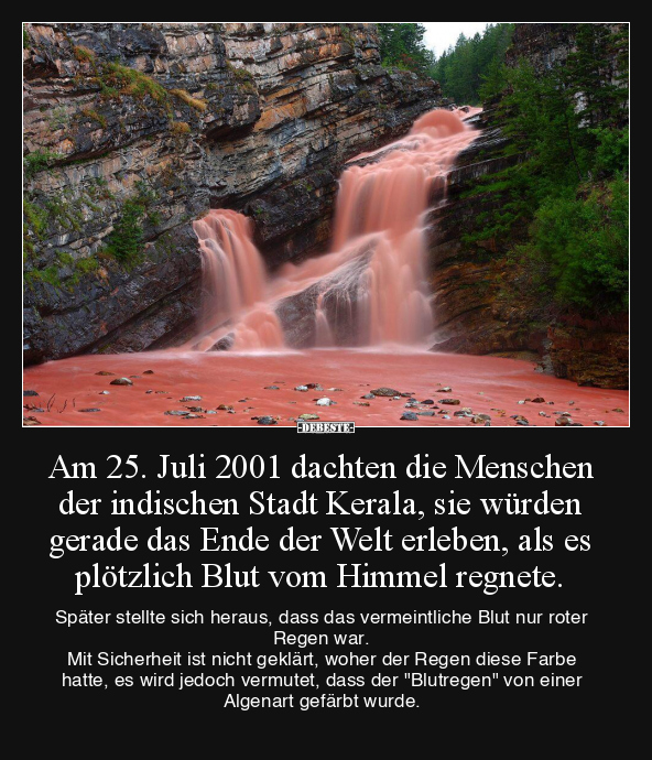 Am 25. Juli 2001 dachten die Menschen der indischen Stadt.. - Lustige Bilder | DEBESTE.de