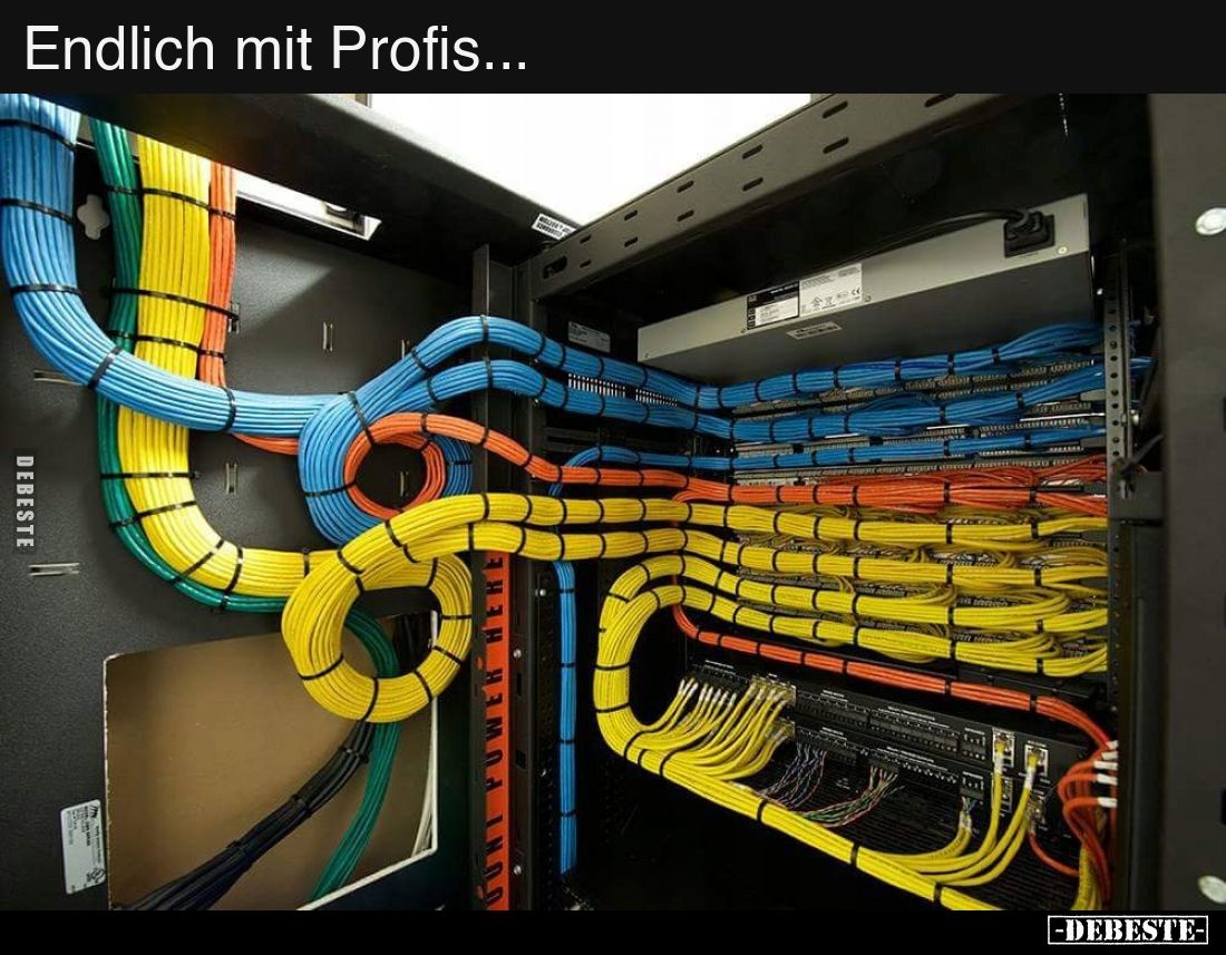 Endlich mit Profis...