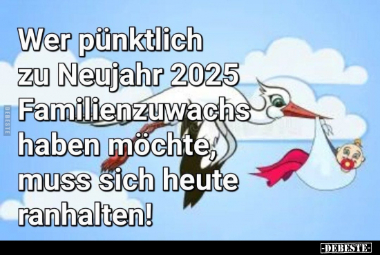 Wer pünktlich zu Neujahr 2025 Familienzuwachs haben möchte.. - Lustige Bilder | DEBESTE.de